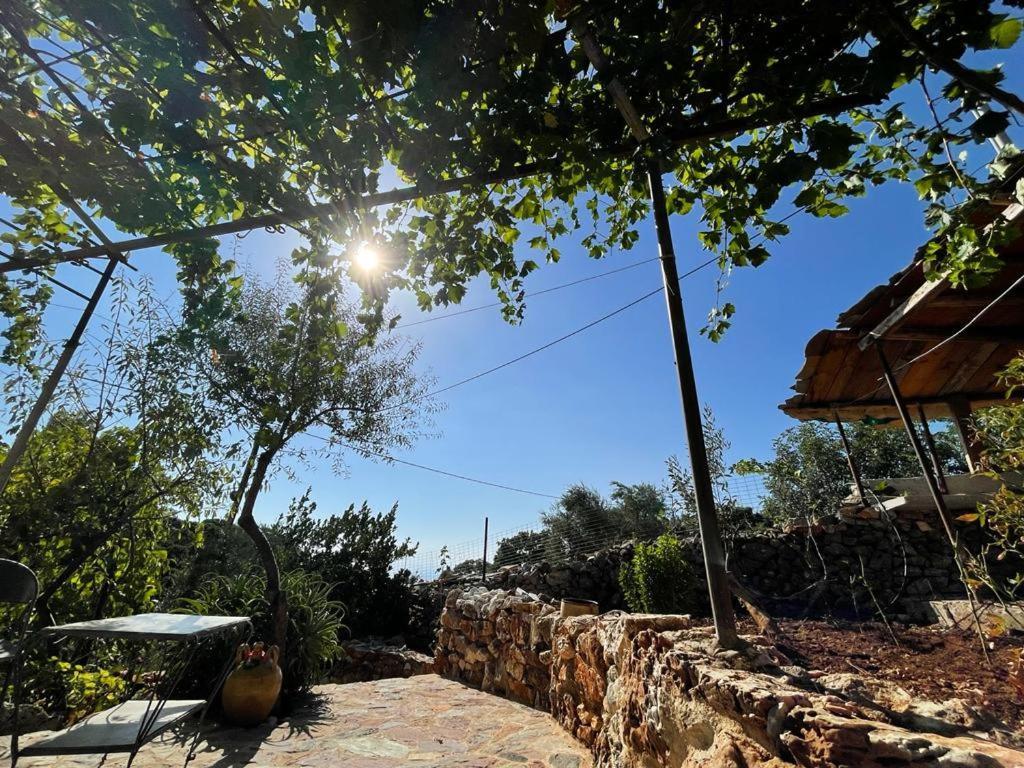 Find Your Peace In A Traditional Country House!! Láyia Exterior foto