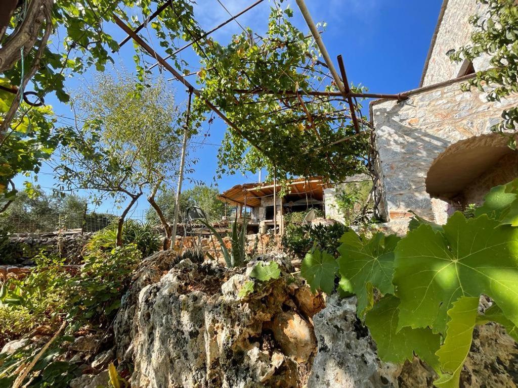 Find Your Peace In A Traditional Country House!! Láyia Exterior foto