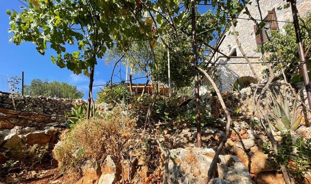 Find Your Peace In A Traditional Country House!! Láyia Exterior foto