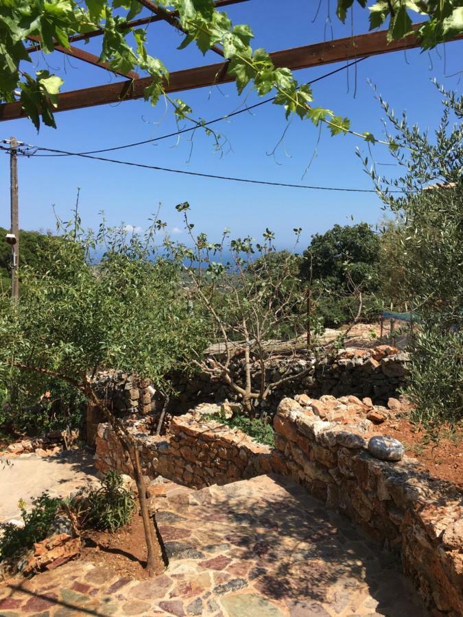 Find Your Peace In A Traditional Country House!! Láyia Exterior foto